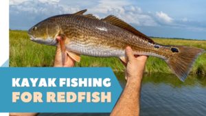 Mastering the Art of Kayak Fishing for Redfish: Tips and Techniques for Success